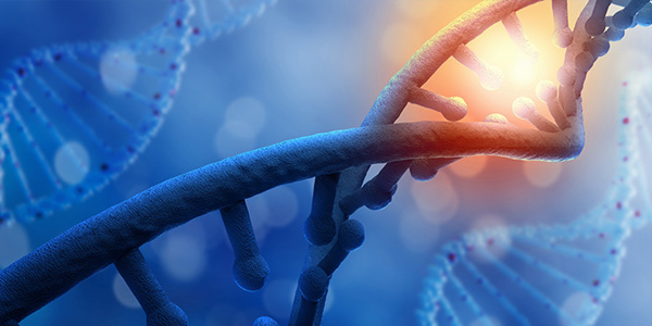 美欧赛奥金生物科技有限公司